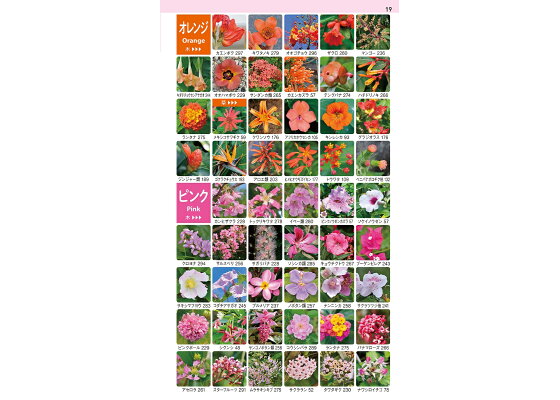 楽天ブックス 沖縄の身近な植物図鑑 亜熱帯の雑草から庭の花 森の樹木やシダまで1000種 林将之 本 楽天ブックス 沖縄の身近な植物図鑑 亜熱帯の雑草から庭の花 森の樹木やシダまで1000種 林将之 本